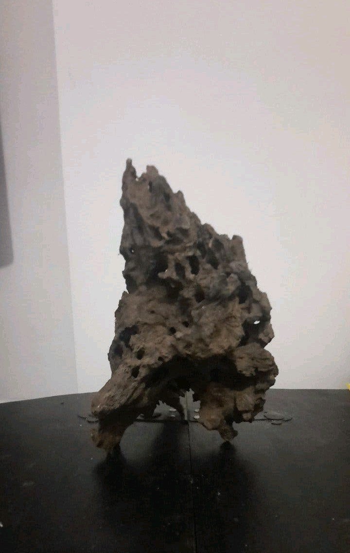 Grote blok hout voor aquarium of terrarium decor en schuilpl, Dieren en Toebehoren, Ophalen of Verzenden, Zo goed als nieuw, Plant(en), Steen of Hout