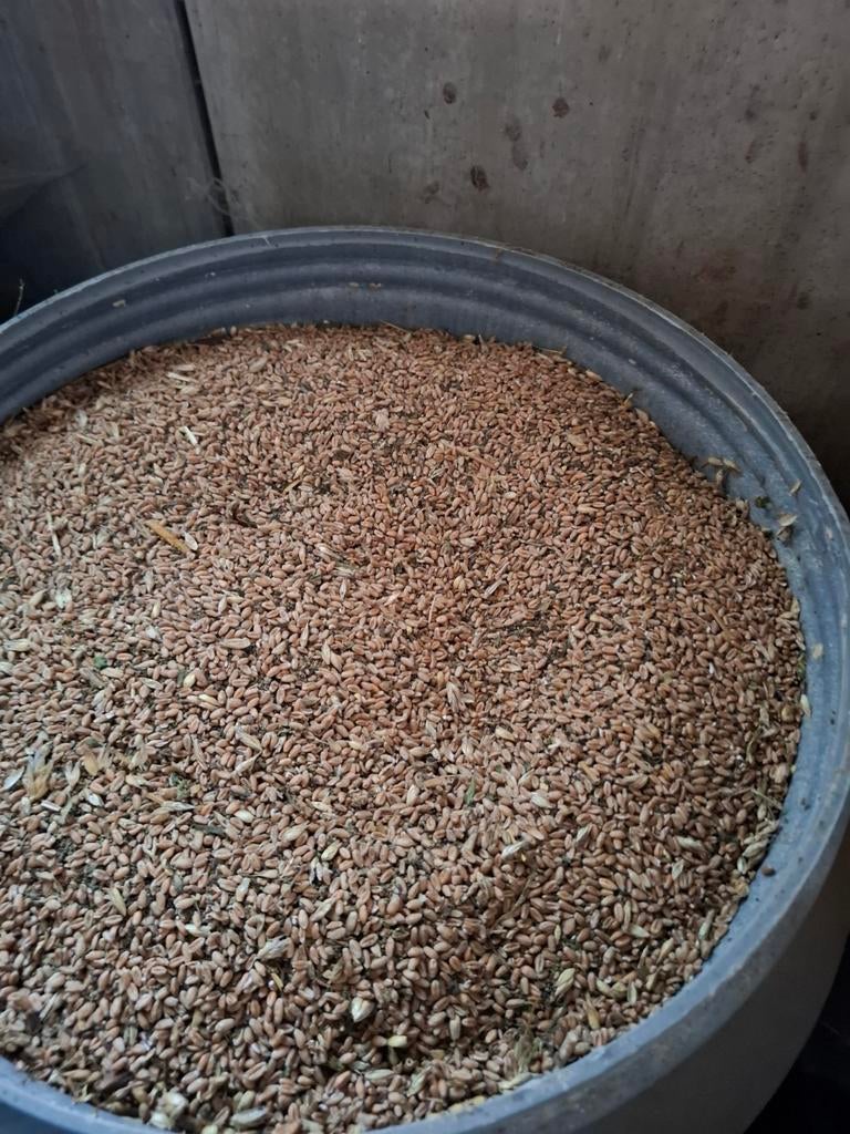 Biotarwe, Dieren en Toebehoren, Ophalen