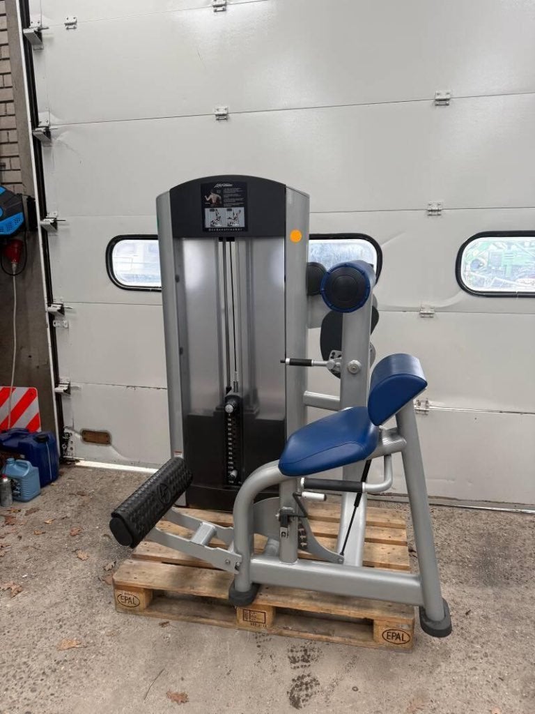 Life Fitness Back extension/ Back machine/, Ophalen of Verzenden, Gebruikt