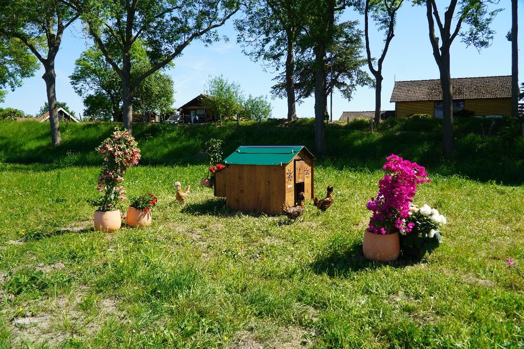 Trespa Kippenhok | Chalet L | Cucciolotta, Ophalen of Verzenden, Nieuw, Kippenhok of Kippenren