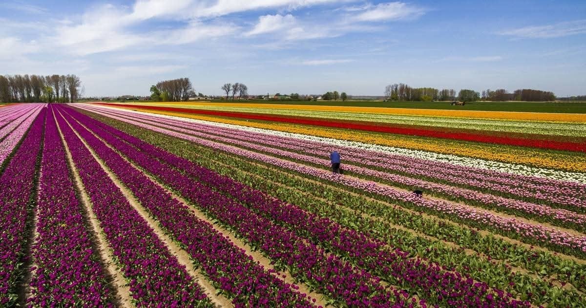 verblijf in het prachtige polderlandschap, Vakantie, Internet, Aan meer of rivier, Dorp
