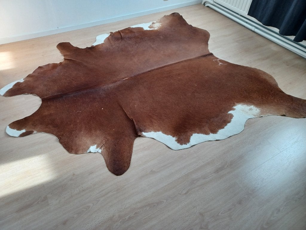 Bruin koeienvel, Ophalen, Gebruikt, Bruin, 200 cm of meer