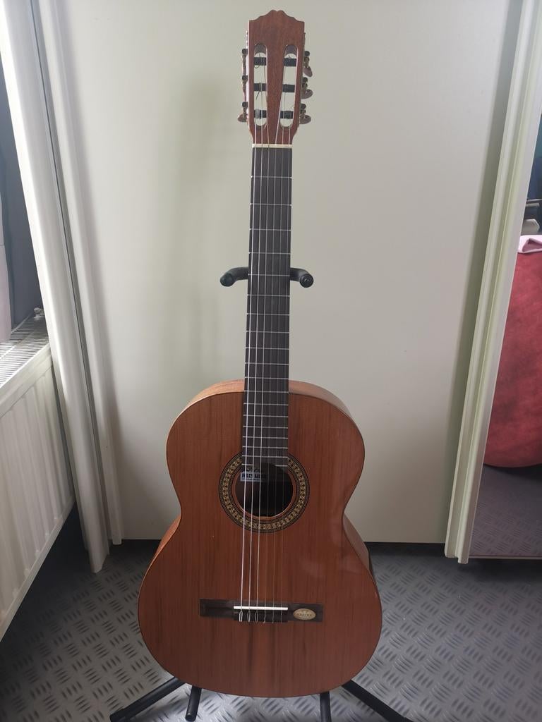 Guitare Classique Salvador Cortez CC-22 – État Nickel, Musique & Instruments, Instruments à corde | Guitares | Acoustiques, Enlèvement