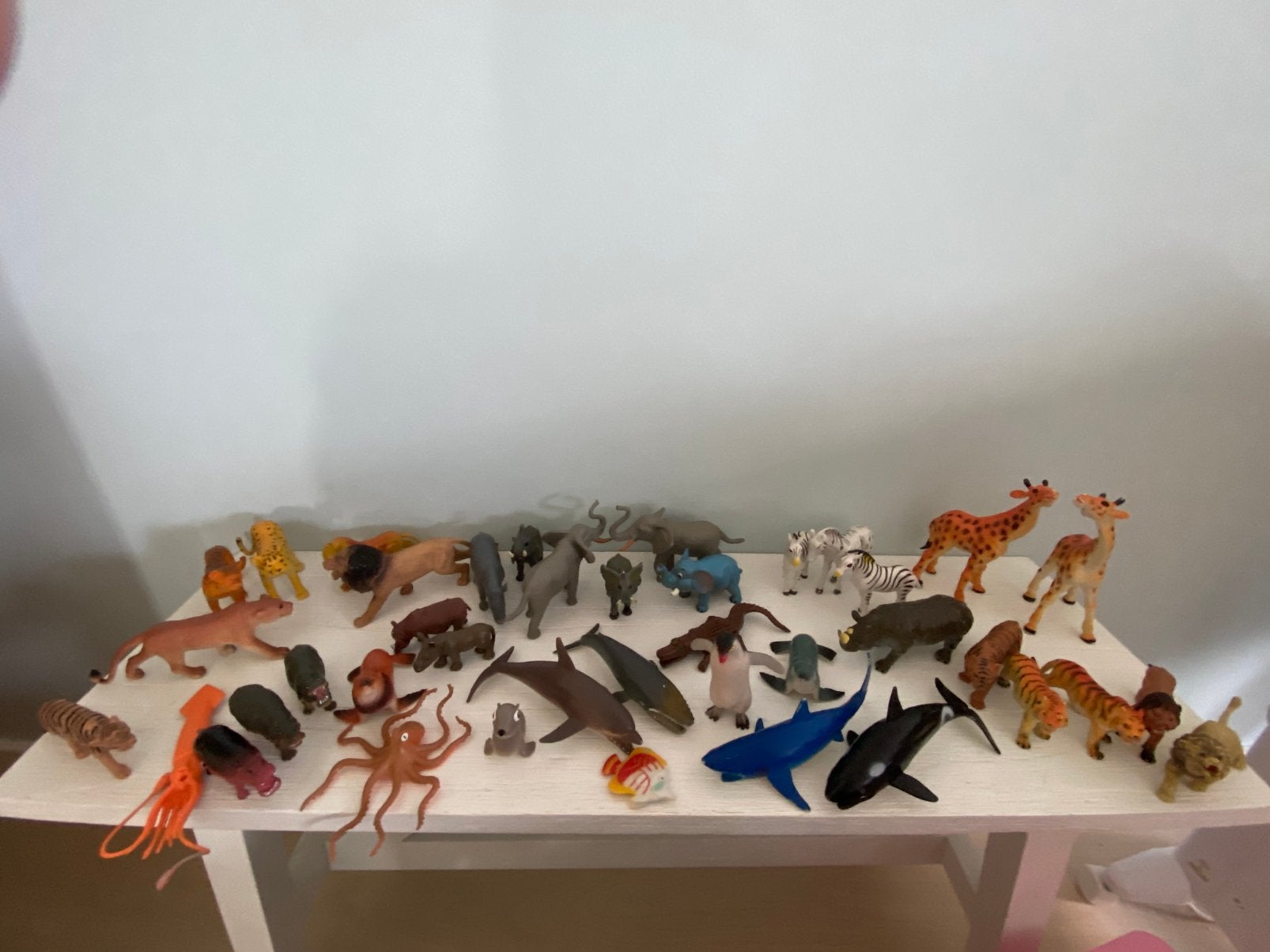Dieren in het wild, Ophalen of Verzenden, Gebruikt