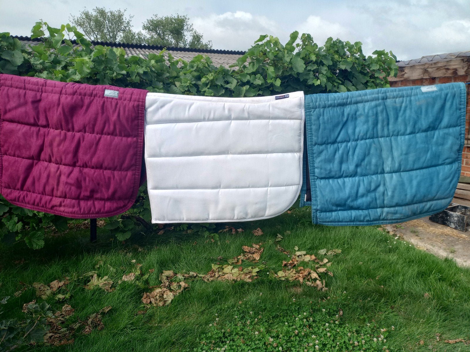 3 Puff pads, Dieren en Toebehoren, Ophalen, Roze, QHP