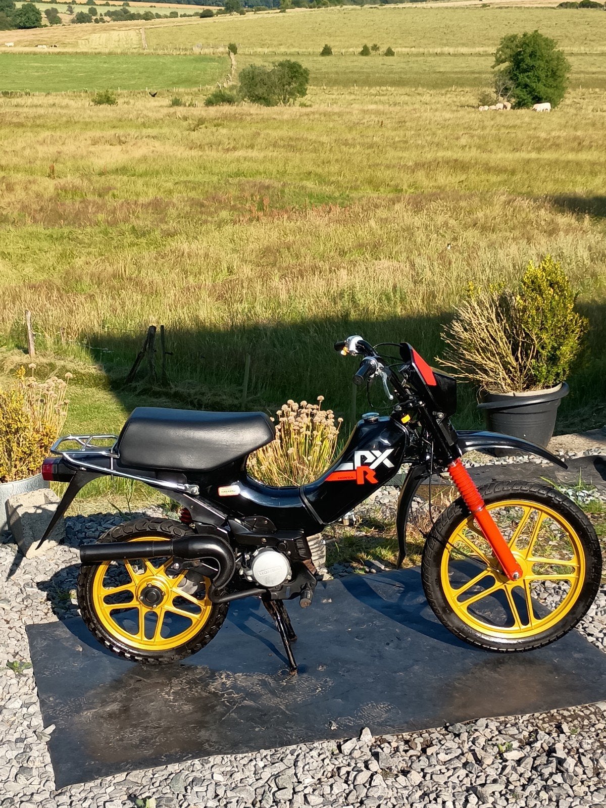 HONDA PXR bromfiets „1980" Klasse A (alle papieren), Fietsen en Brommers, Ophalen, Overige modellen, Klasse A (25 km/u), Zo goed als nieuw
