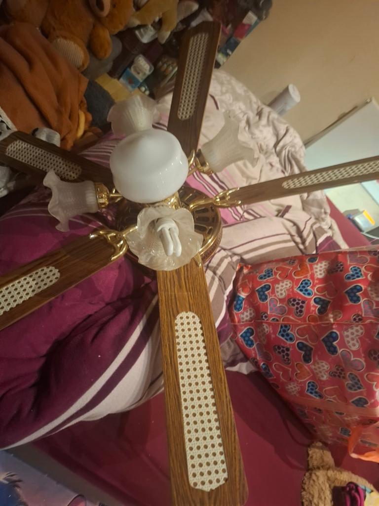 Lamp met waaier, Ophalen