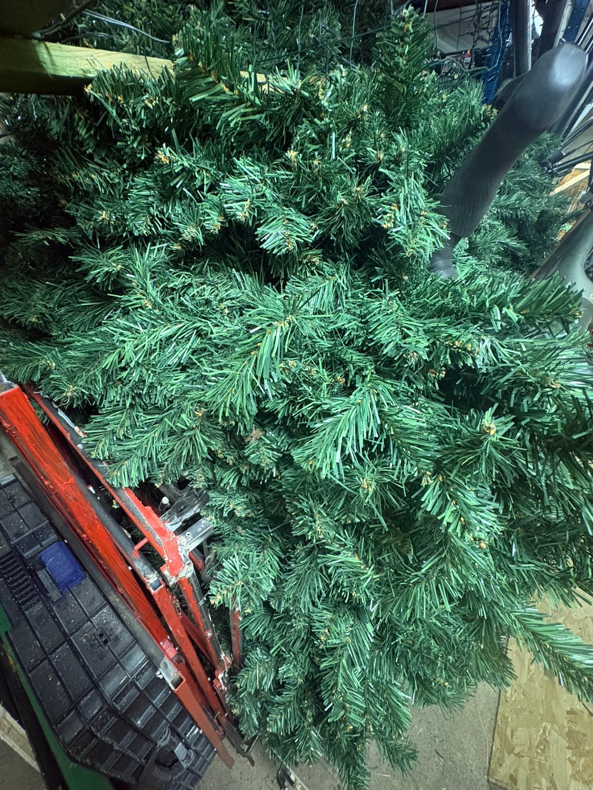 Sapin noel 8m de haut, Enlèvement
