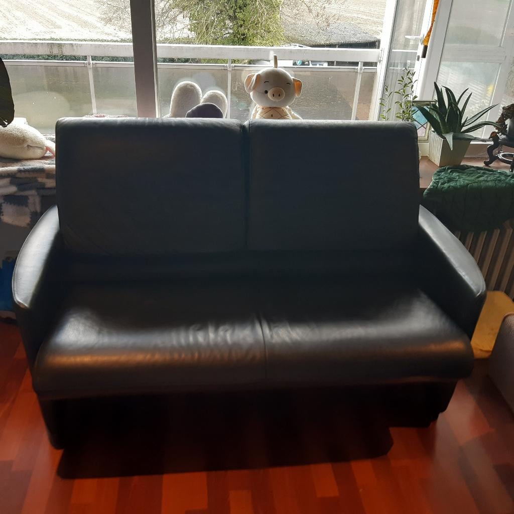 Leren zetel tweezit, Ophalen, Gebruikt, 100 tot 125 cm, 150 tot 200 cm