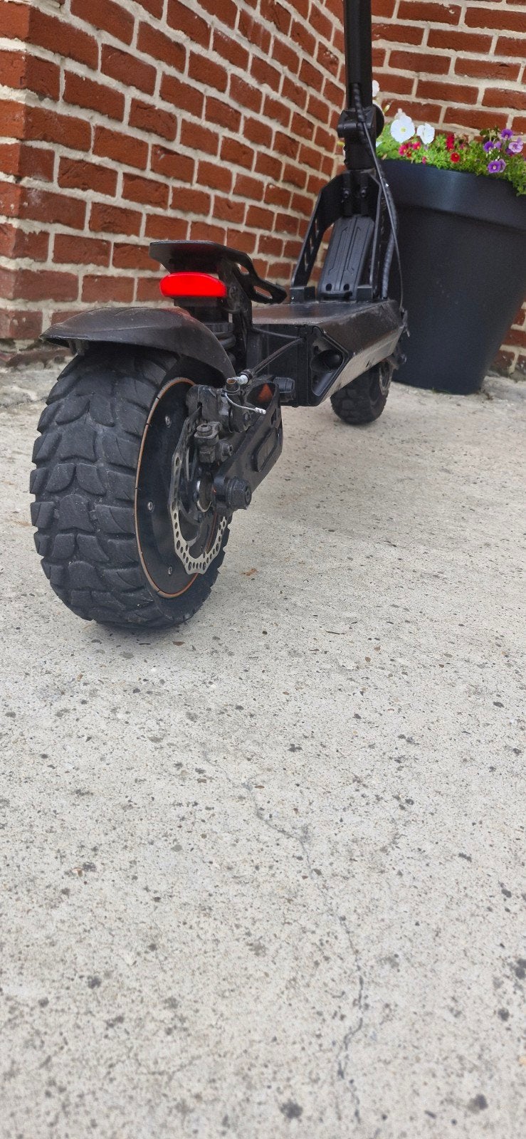 Kamikaze k1 Nieuw, Enlèvement