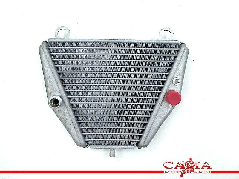OLIEKOELER Ducati Panigale V4 2018- (01-2018/-) (54811363A), Motoren, Dhr. S. di Majo, Gebruikt, Info@cama-motorparts.nl, P.J. Troelstraweg 8 8
3144 CX  MAASSLUIS, NL