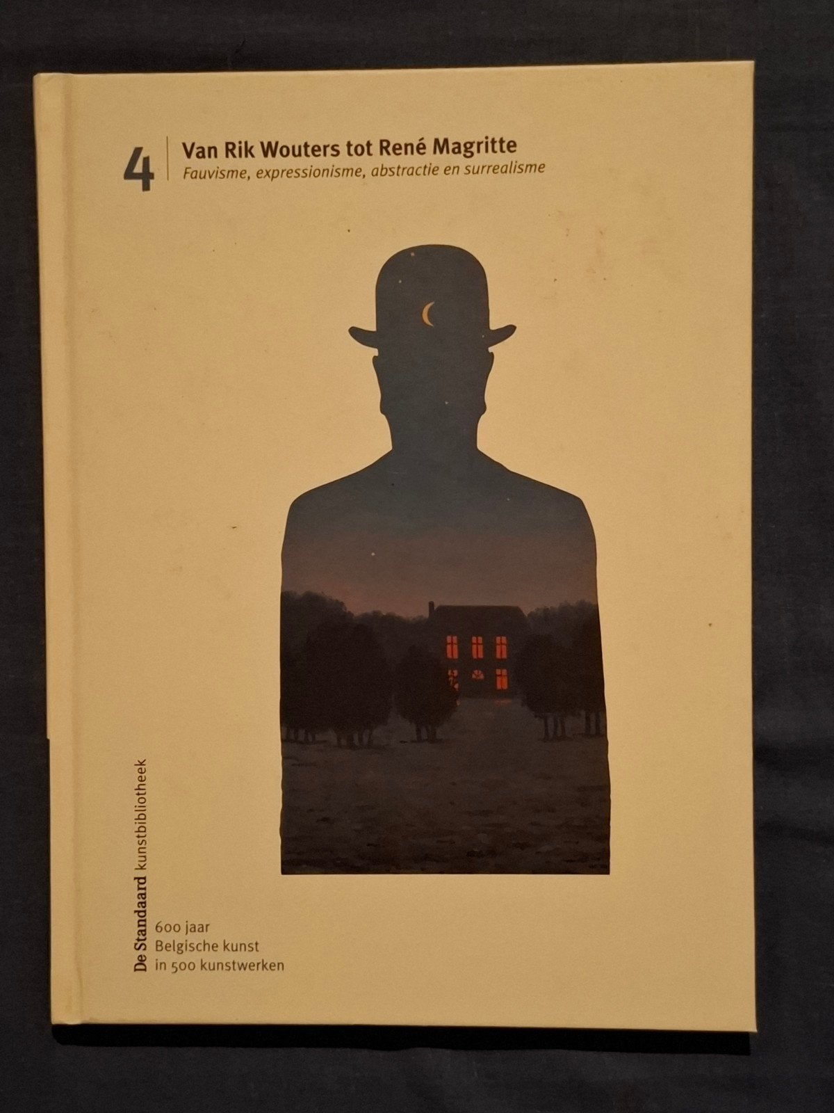 De Standaard kunstbibliotheek 4, Livres, Enlèvement ou Envoi, Comme neuf, De Standaard