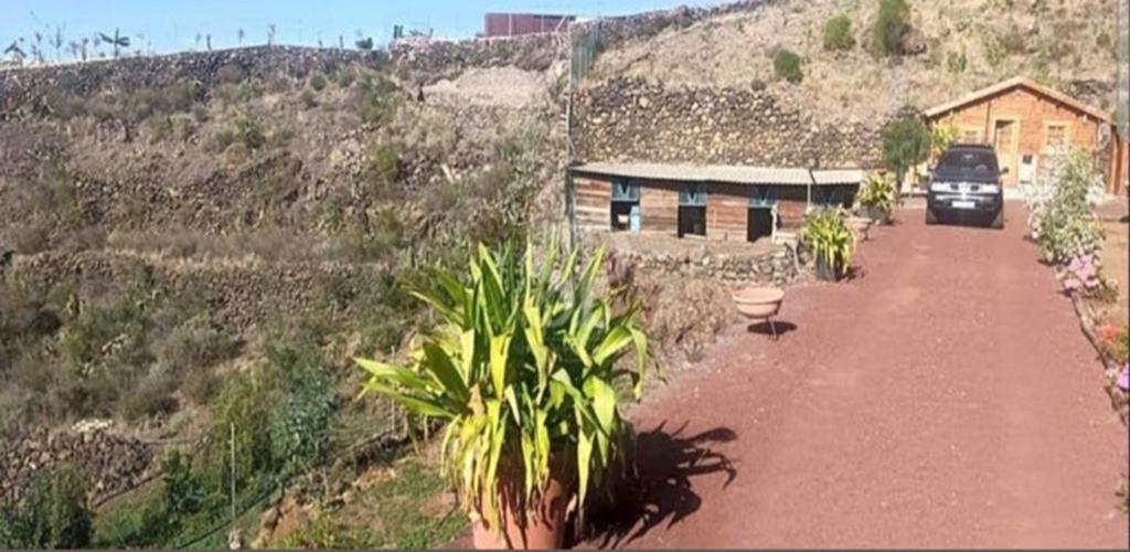 6 maisons, 15 000 m2 de terrain à vendre à Tenerife Sud, Immo