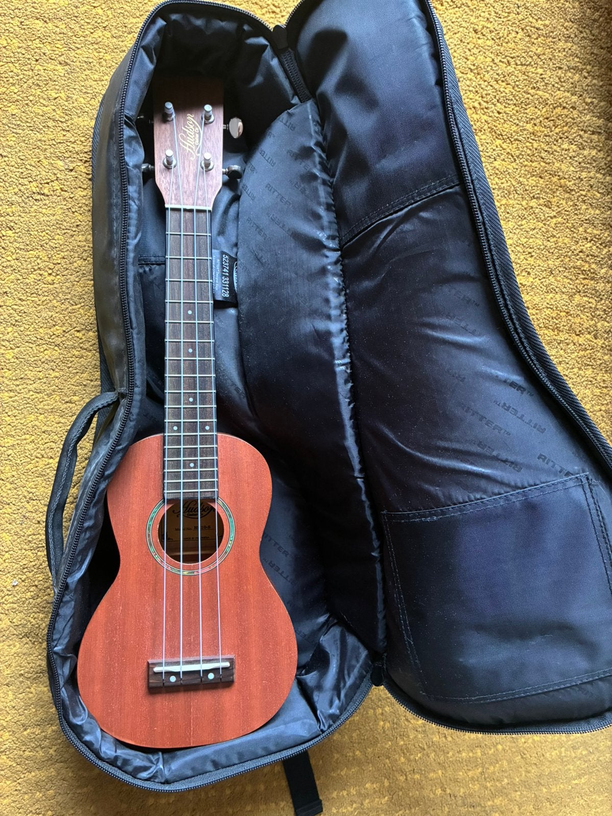 Ukelele + draagtas, Musique & Instruments, Instruments à corde | Autre, Enlèvement, Comme neuf, Autres types