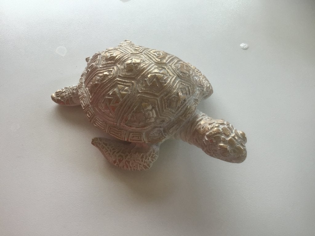 Beeldje schildpad, Ophalen