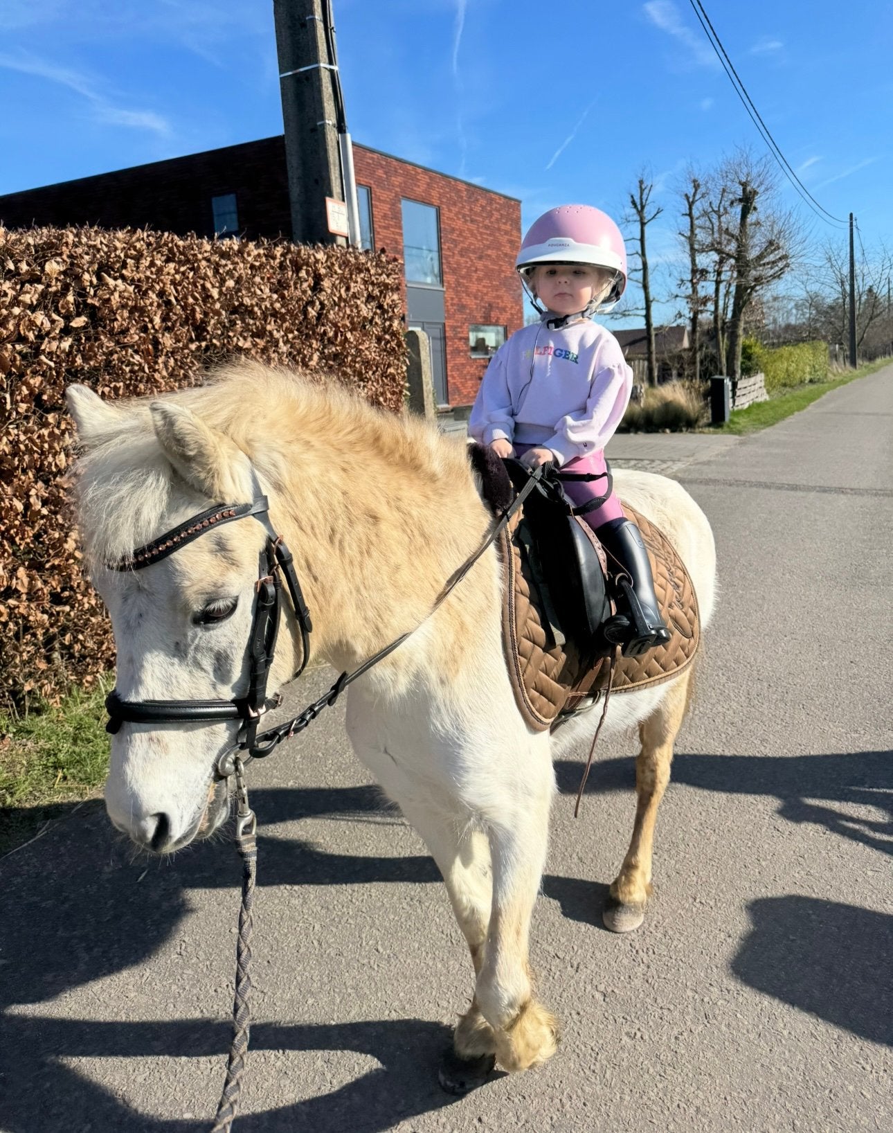 Paardrijles en spring lessen aangeboden, Dieren en Toebehoren