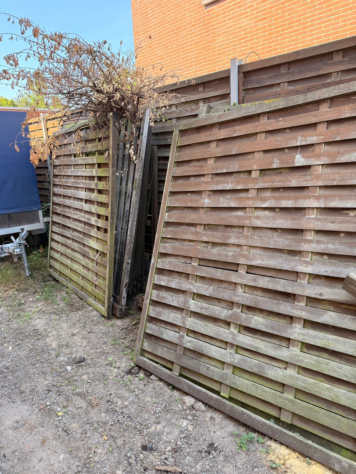 Gratis brandhout, Tuin en Terras, Schuttingen, Ophalen, Zo goed als nieuw