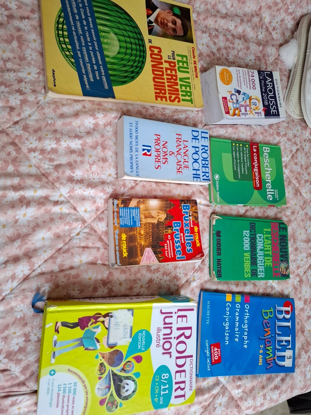 dictionnaire besherelle 5 eur piece, Hobby & Loisirs créatifs, Enlèvement