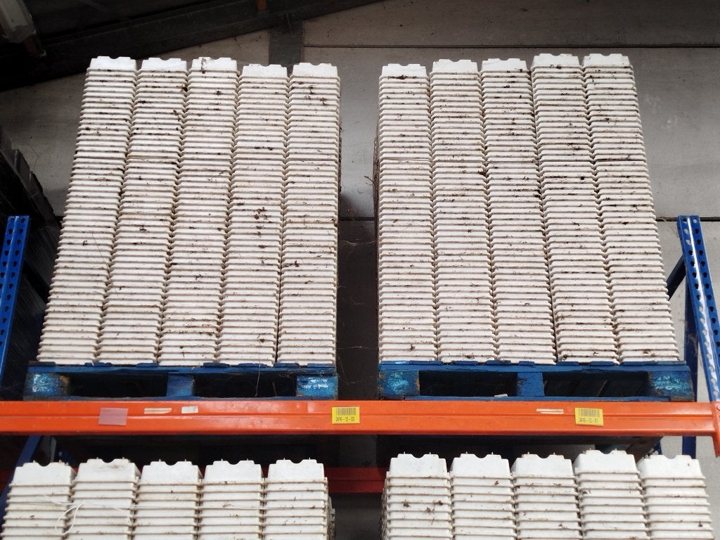 Meerlebakken / kweekbakken, Ophalen