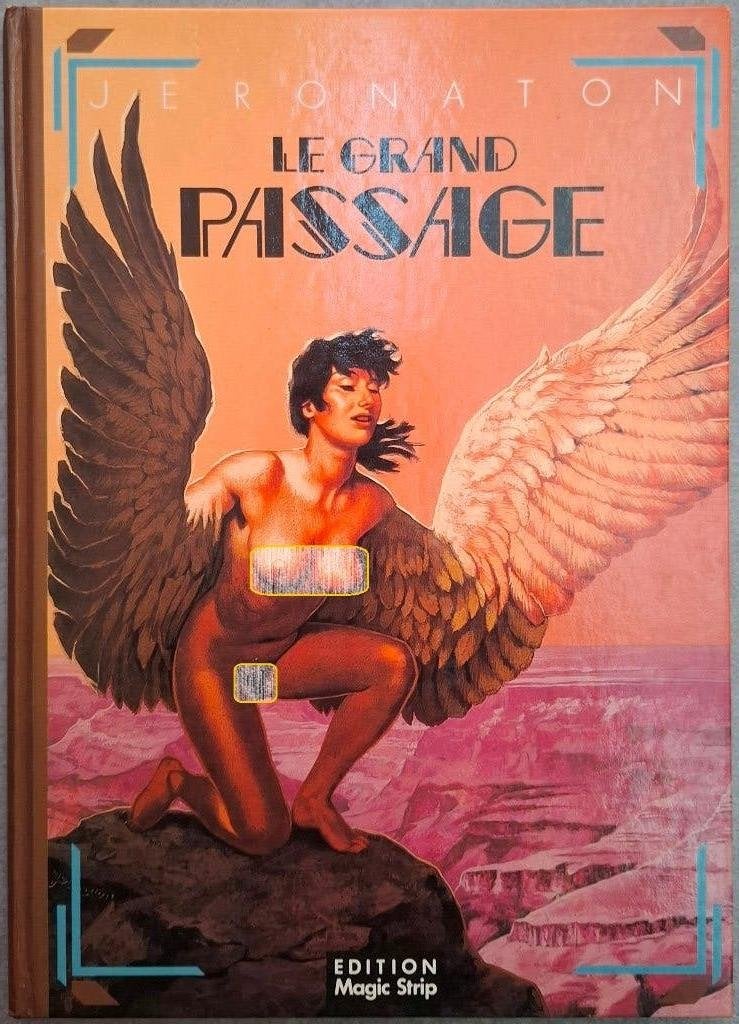 Le grand passage, Livres, BD, Utilisé, Une BD, Enlèvement ou Envoi