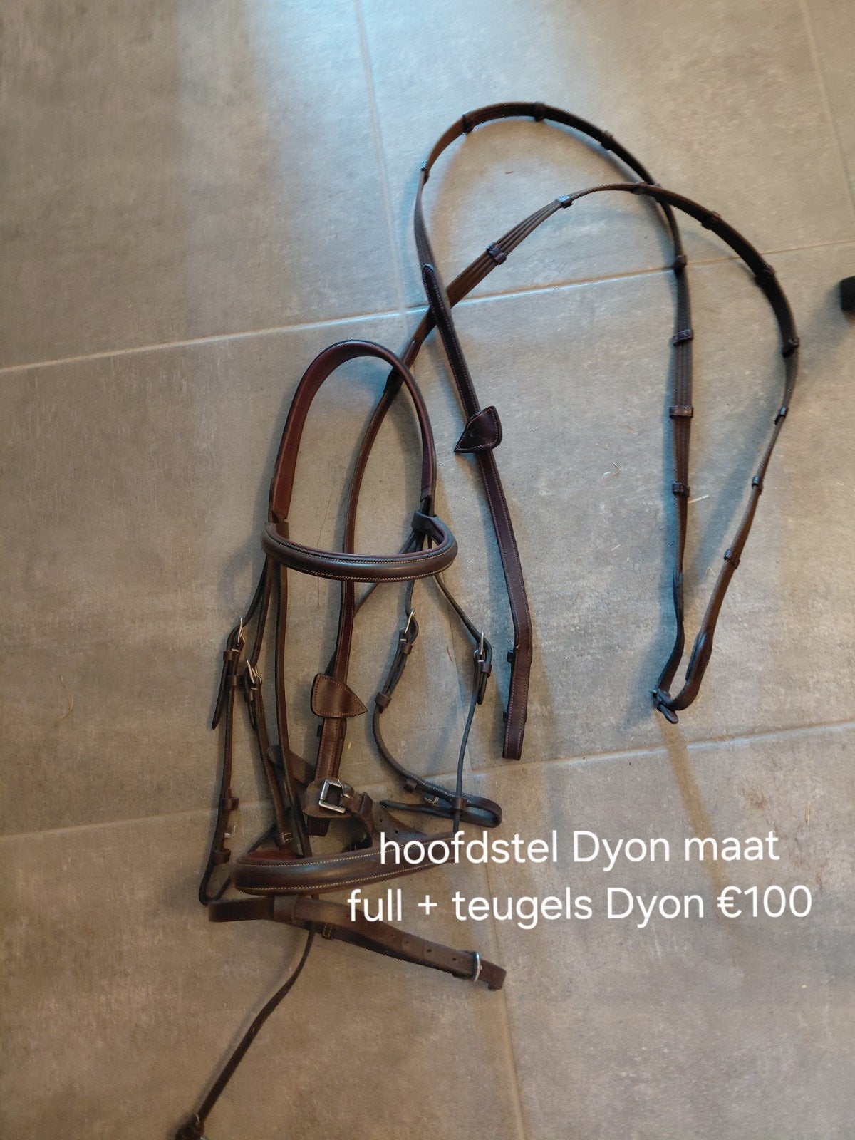 dyon hoofdstel en teugels, Dieren en Toebehoren, Ophalen, Hoofdstel