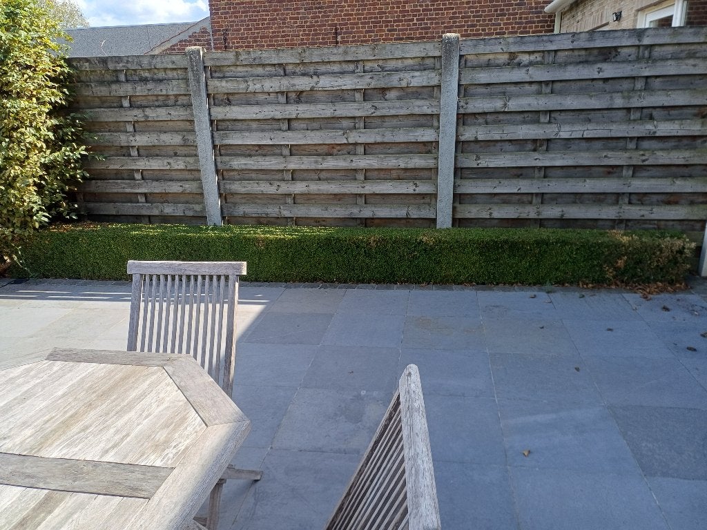 Gratis buxus, Enlèvement, Buis, Haie, Moins de 100 cm