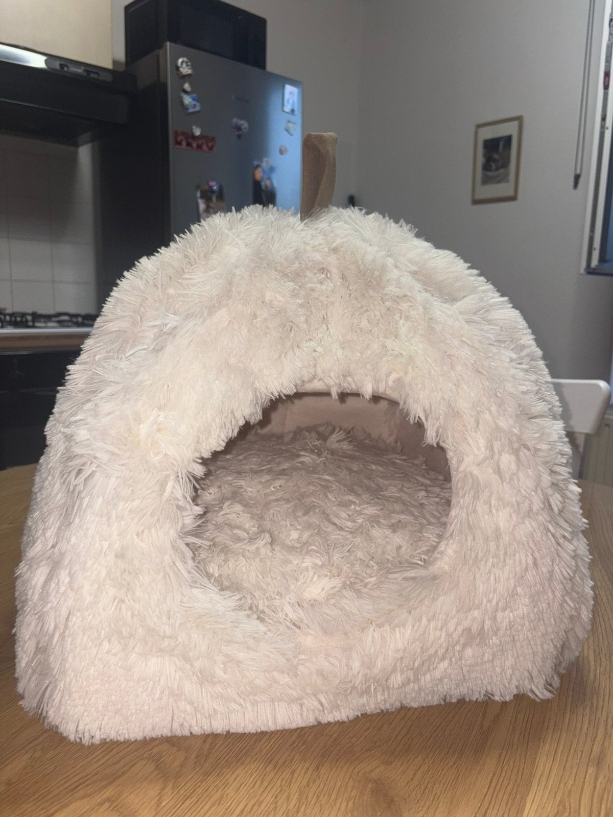 Panier pour animaux chat, Enlèvement ou Envoi, Utilisé