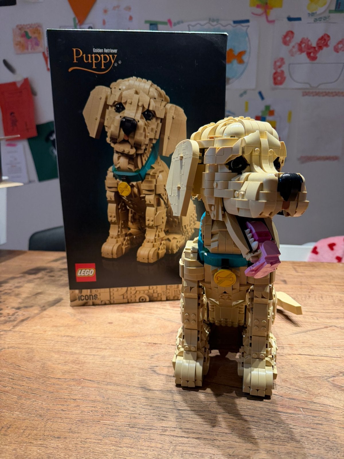 Golden Retriever Puppy 11384, Ophalen, Zo goed als nieuw