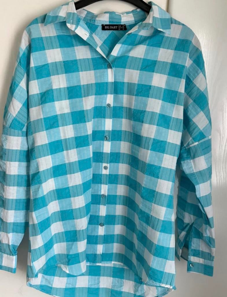 Geruite Blouse Big Dart maat 42, Kleding | Dames, Ophalen of Verzenden, Nieuw, Maat 42/44 (L), Blauw