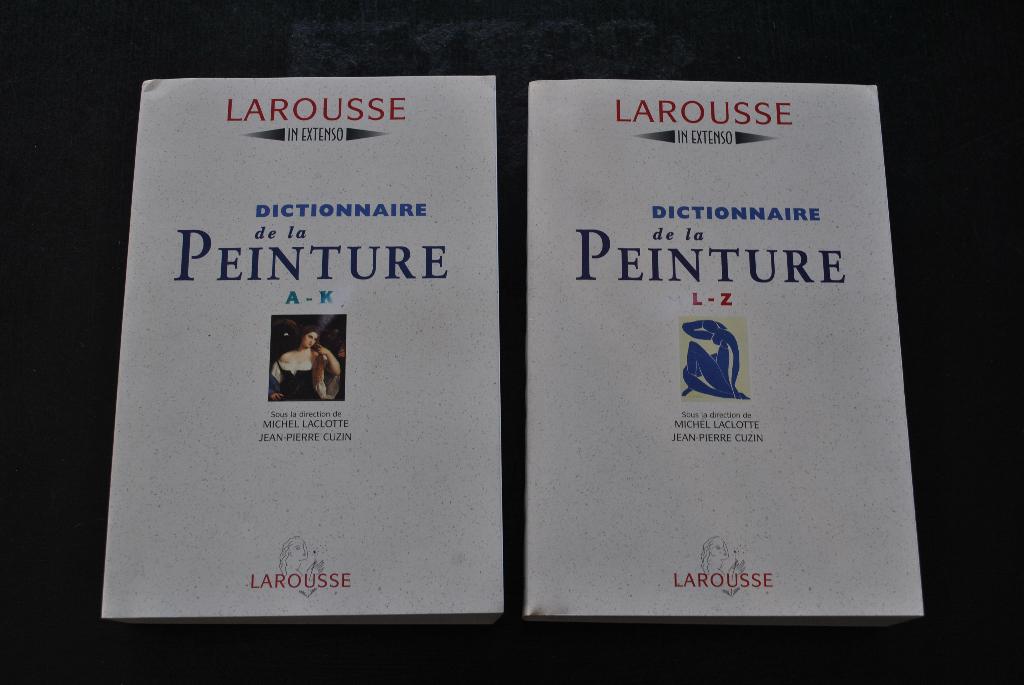 DICTIONNAIRE DE LA PEINTURE COMPLET 2 T LAROUSSE IN EXTENSO, Peinture et dessin, Enlèvement ou Envoi, Utilisé, MICHEL LACLOTTE