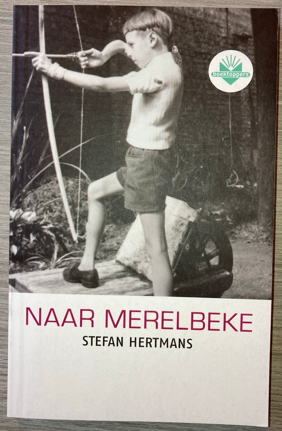 Naar Merelbeke. Stefan Hertmans, Boeken, Ophalen of Verzenden, Zo goed als nieuw
