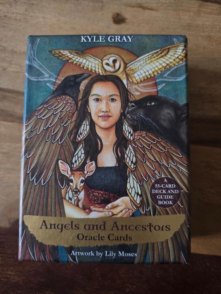 Orakelkaarten Angels and ancestors, Ophalen, Zo goed als nieuw
