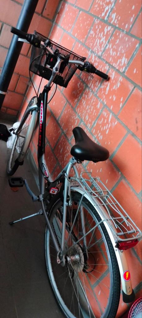 Damesfiets met mandje, Vélos & Vélomoteurs, Vélos | Vélos pliables, Comme neuf, Femmes, Autres marques, Vitesses, Enlèvement