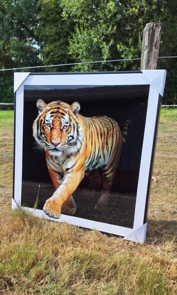Doek leeuw en/of tijger met een zeer krachtige uitstraling💪, Huis en Inrichting, Woonaccessoires | Schilderijen, Tekeningen en Foto's