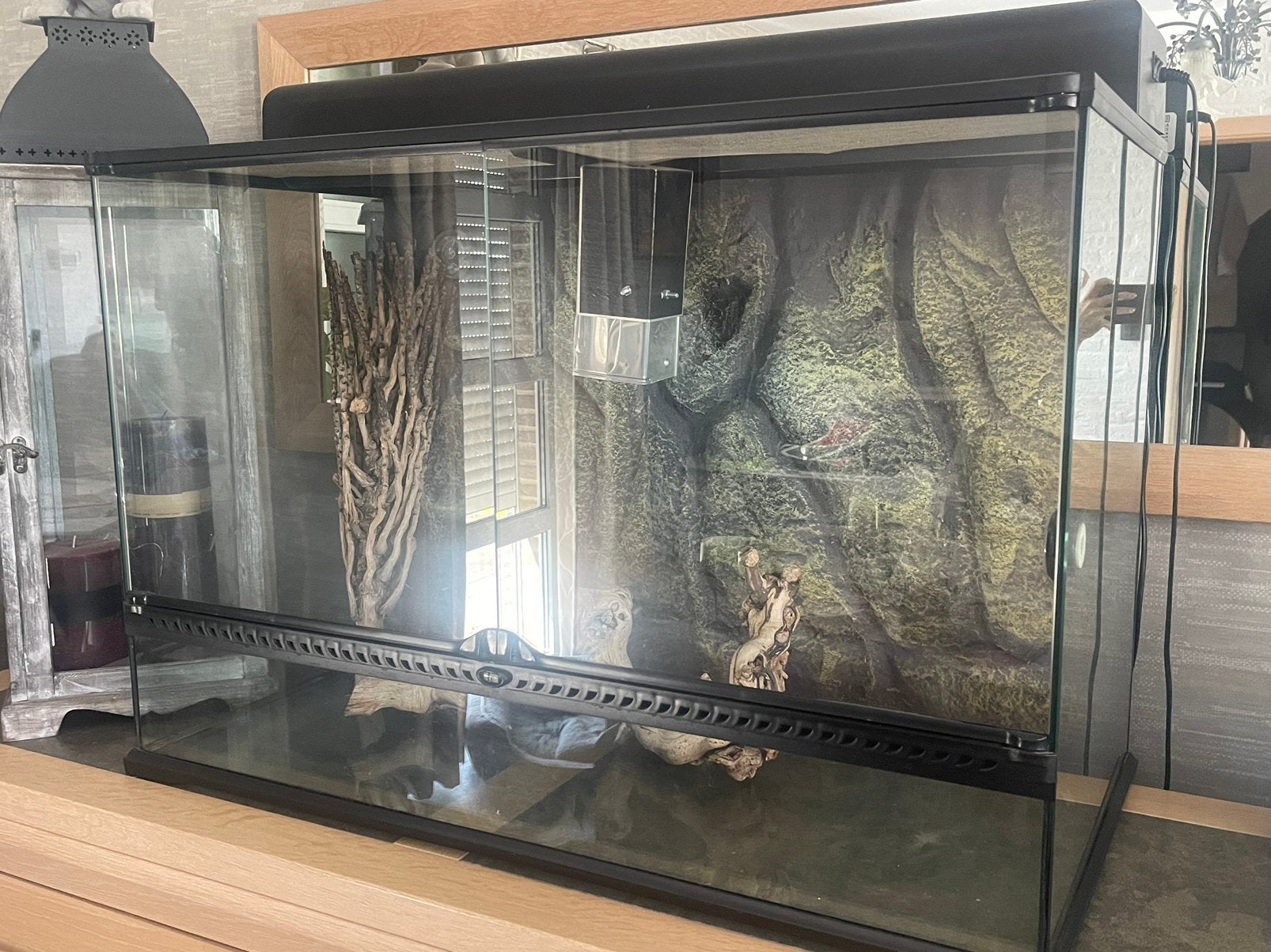 Terrarium Exo Terra met Compact Top, Animaux & Accessoires, Reptiles & Amphibiens | Accessoires, Enlèvement, Utilisé, Terrarium ou Paludarium