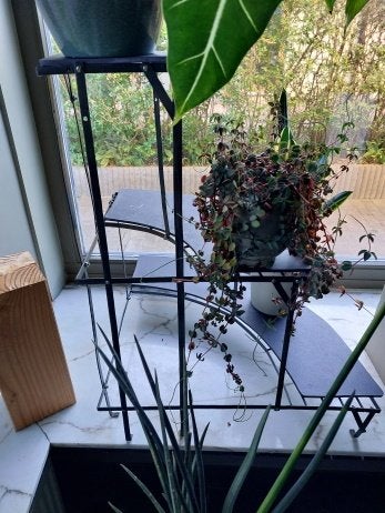2 bacs à plantes d'intérieur ou d'extérieur KD, Jardin & Terrasse, Enlèvement, Comme neuf, Métal, Intérieur