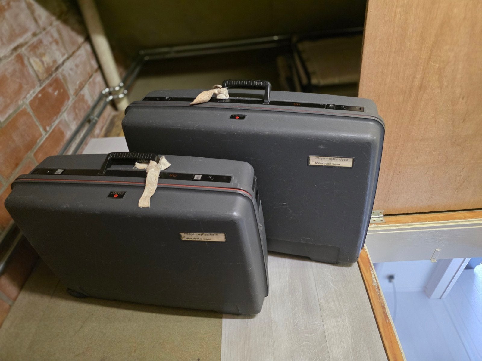 Reiskoffers 2 stuks merk delsy!, Handtassen en Accessoires, Koffers, Ophalen of Verzenden, Gebruikt, Hard kunststof, Wieltjes