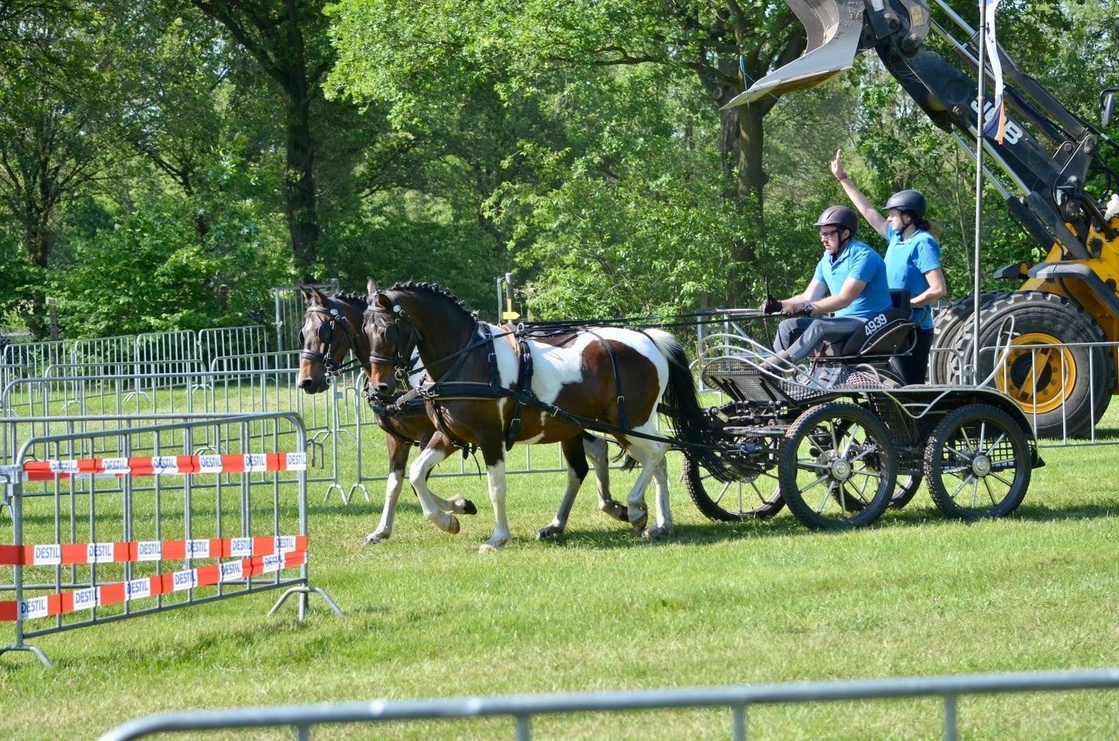 2 leuke en lieve pony's te koop, Dieren en Toebehoren, Merrie, D pony (1.37m tot 1.48m)