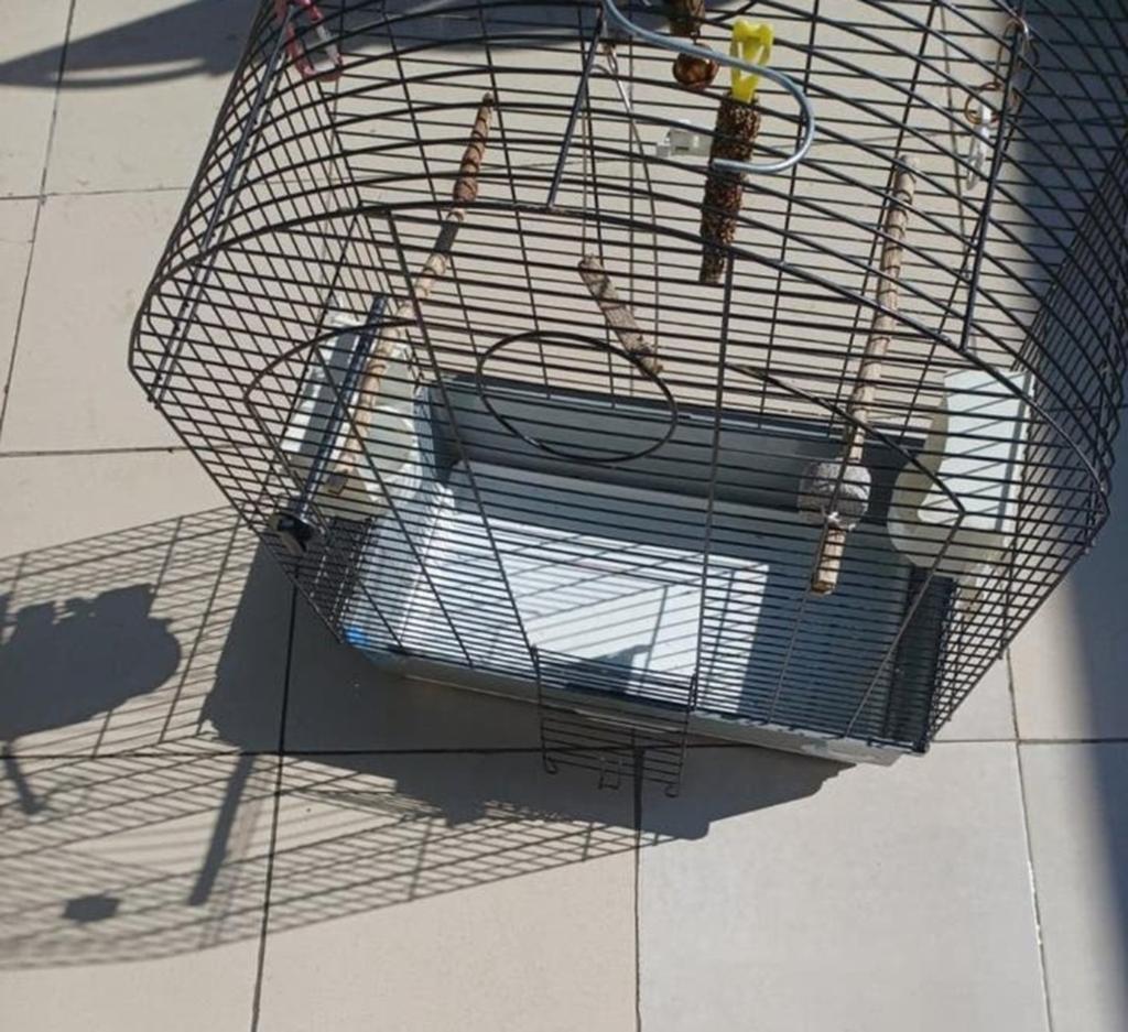 Cage, Enlèvement