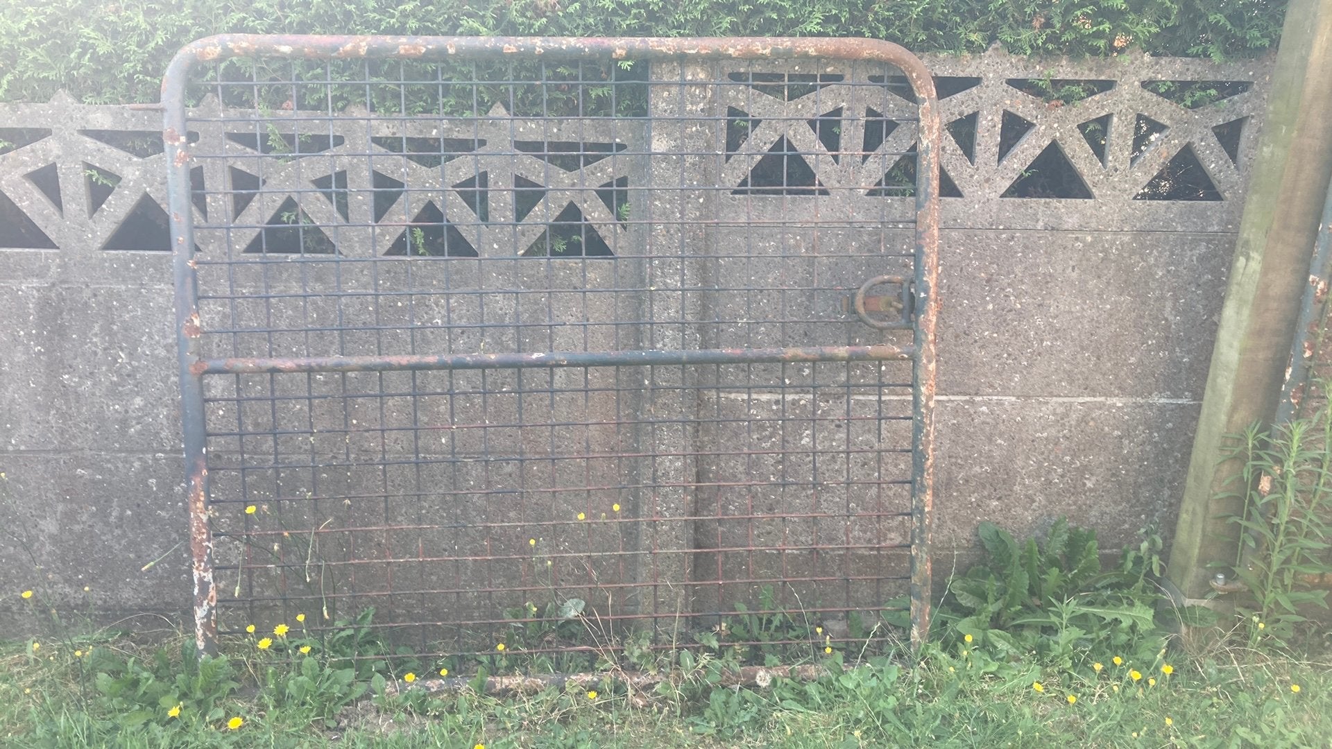 Poort, Ophalen, Gebruikt, IJzer, Gaashekwerk