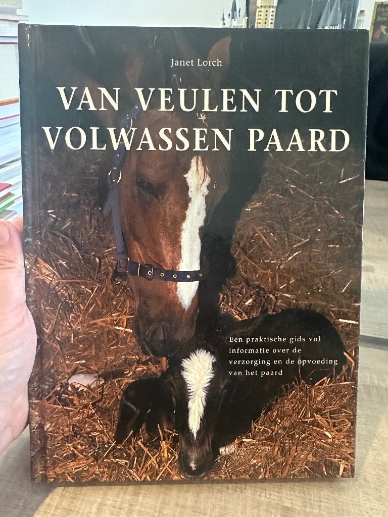 Van veulen tot volwassen paard, Enlèvement, Comme neuf, Chevaux ou Poneys