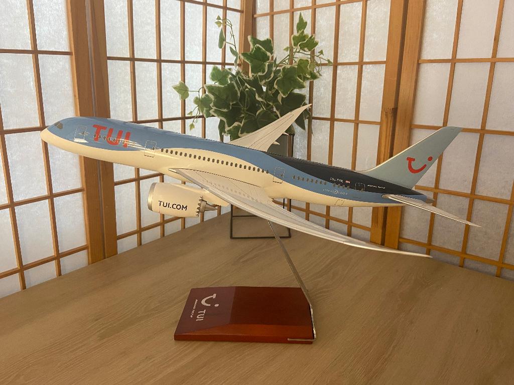 Tui B787 1:100, Ophalen of Verzenden, Nieuw, Schaalmodel