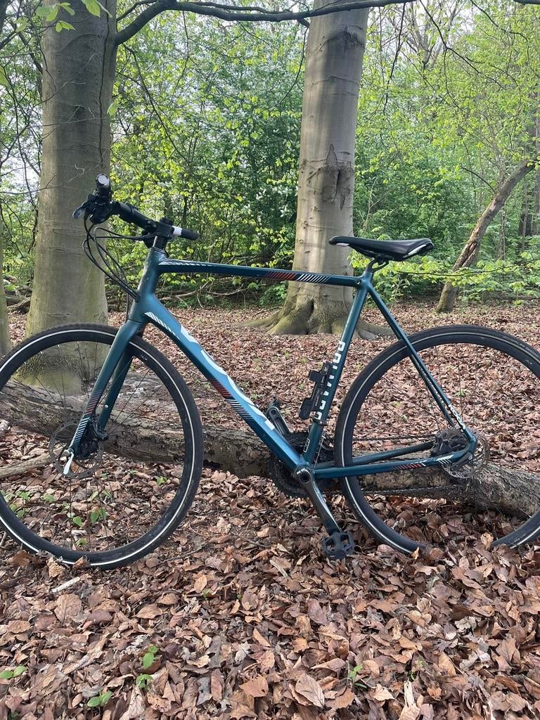 Koga colmaro sport, Ophalen of Verzenden, Gebruikt