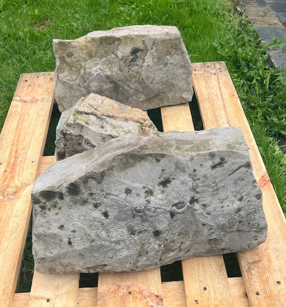 3 bordures de bassin nettoyées (prix = prix total), Enlèvement, Utilisé, Bord de l'étang