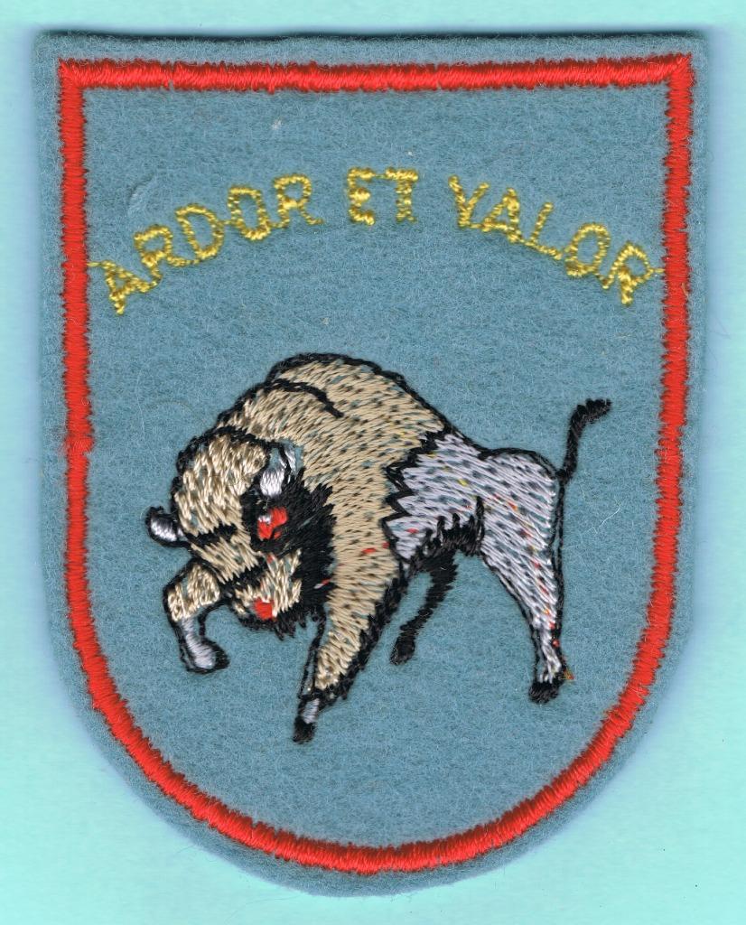 Belgian Air Force Sleeve Insignia ( MS 105 ), Ophalen of Verzenden, Luchtmacht, Embleem of Badge