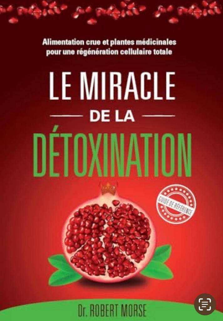 LE MIRACLE DE LA DÉTOXINATION, Livres, Enlèvement ou Envoi, Comme neuf, Santé et Condition physique