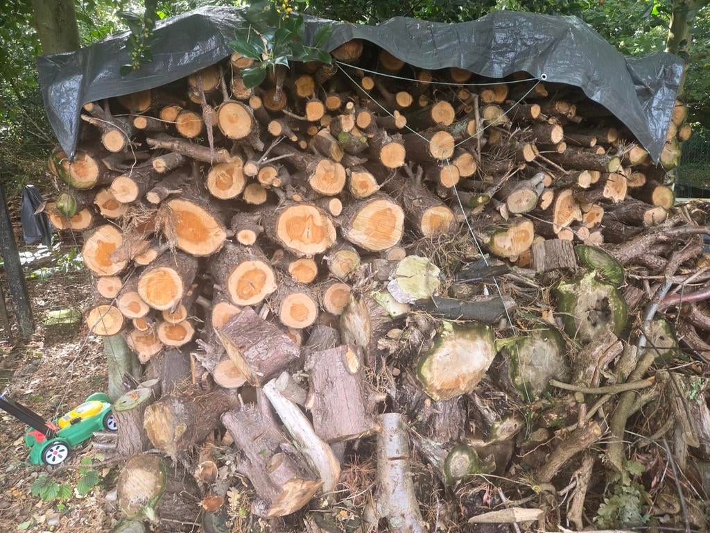 Brandhout coniferen, Tuin en Terras, Ophalen