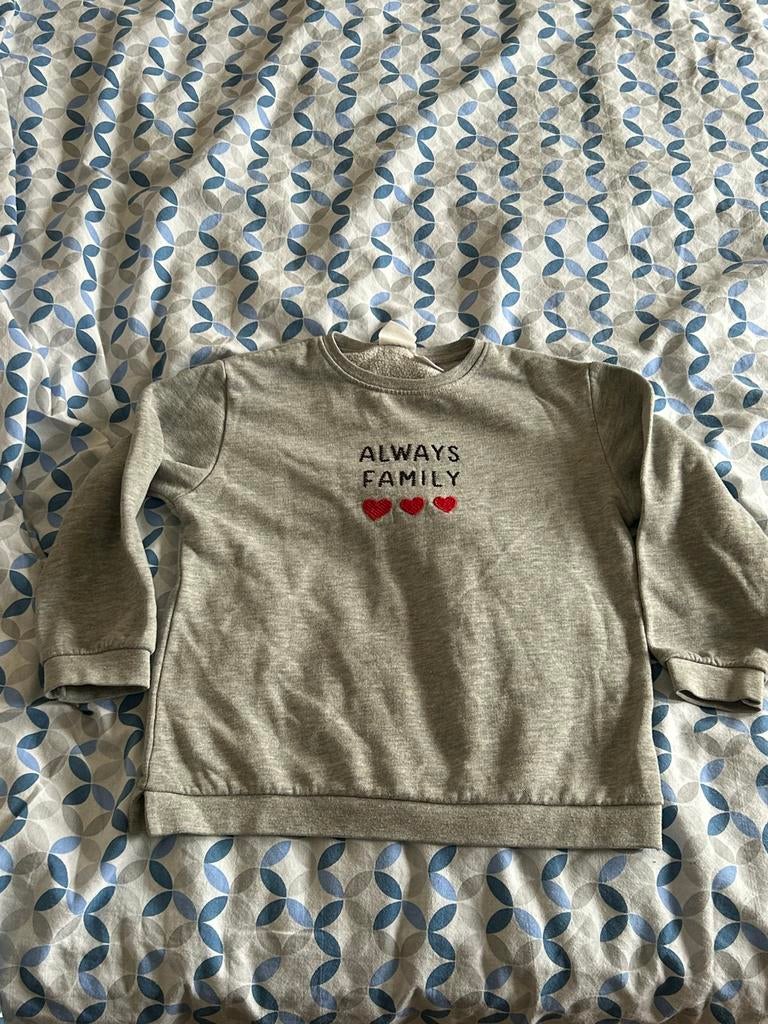 Meisjes pull, Ophalen, Zo goed als nieuw, Zara, Meisje