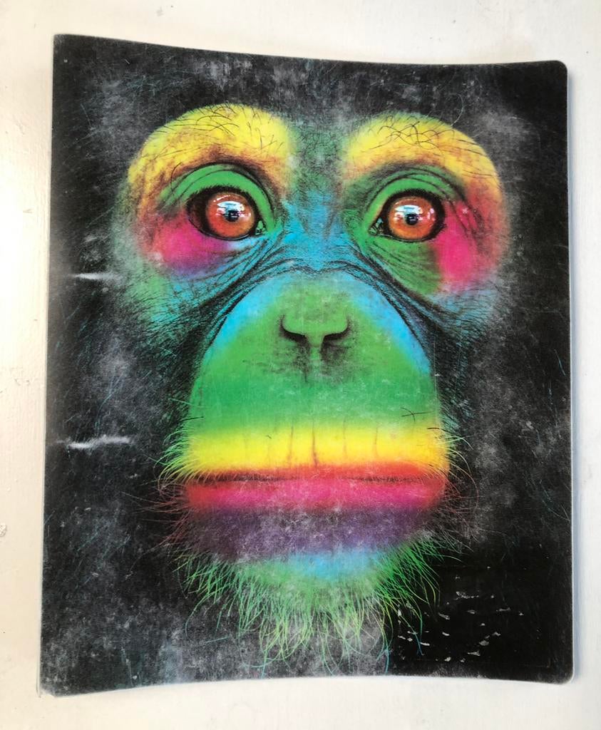 Housse en forme de singe A4, Divers, Fournitures scolaires, Utilisé, Enlèvement ou Envoi