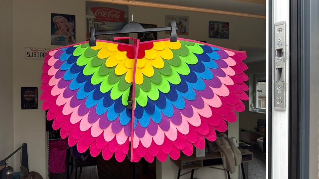 Carnaval half vasten optocht kleurrijke pakjes vogels, Ophalen, Gedragen, Overige maten, Kleding